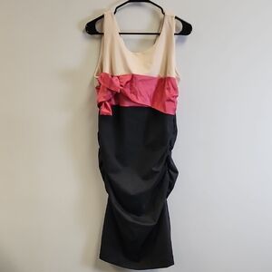 New York & Company Cream, Pink, and Black Midi Dress